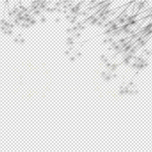 natural-tree-leaf-soft-shadow-overlay